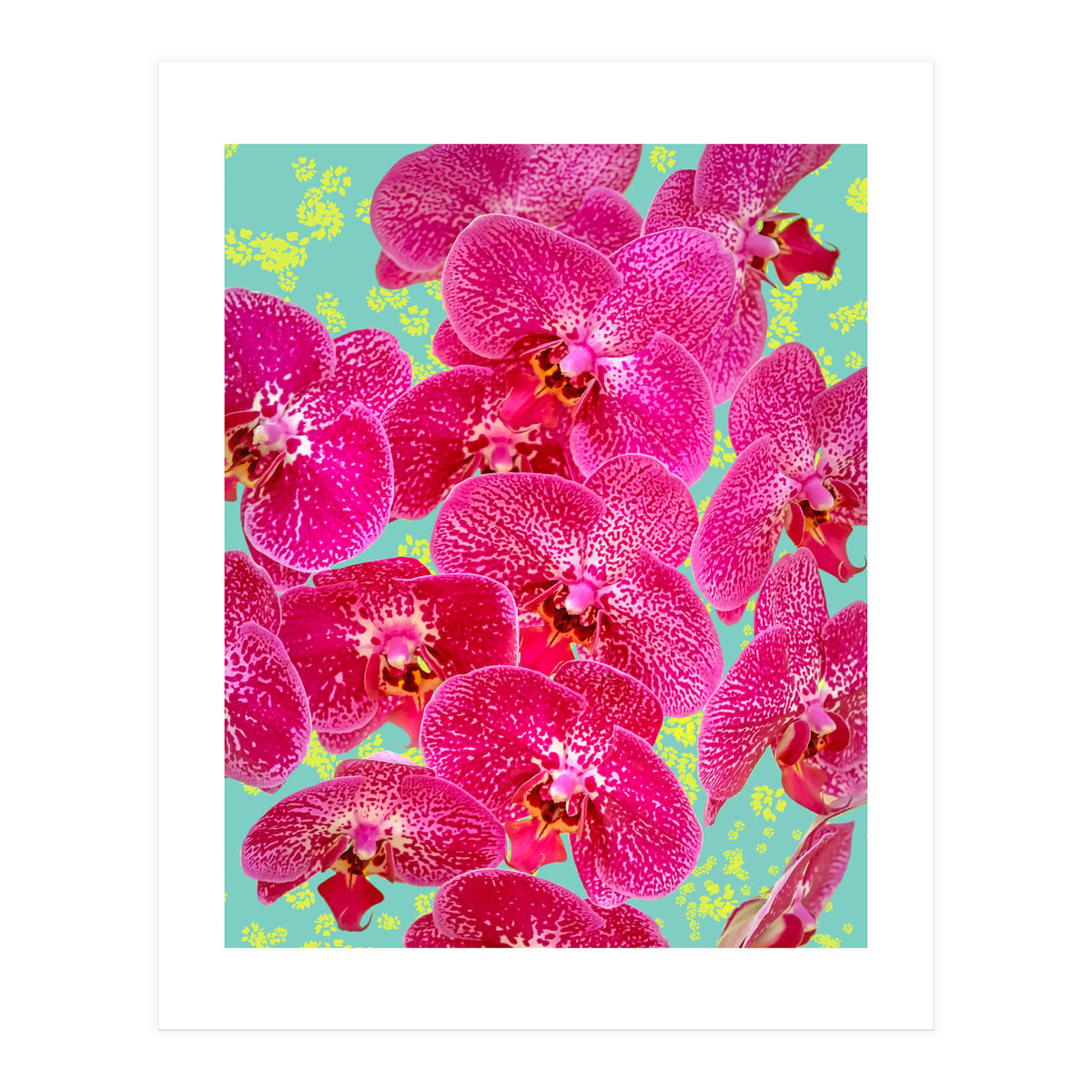 Finding My Way Back To Myself, Botanical Nature Plants Floral, Flowers Garden Colorful Boho Painting Summer Blossom (Print Only)