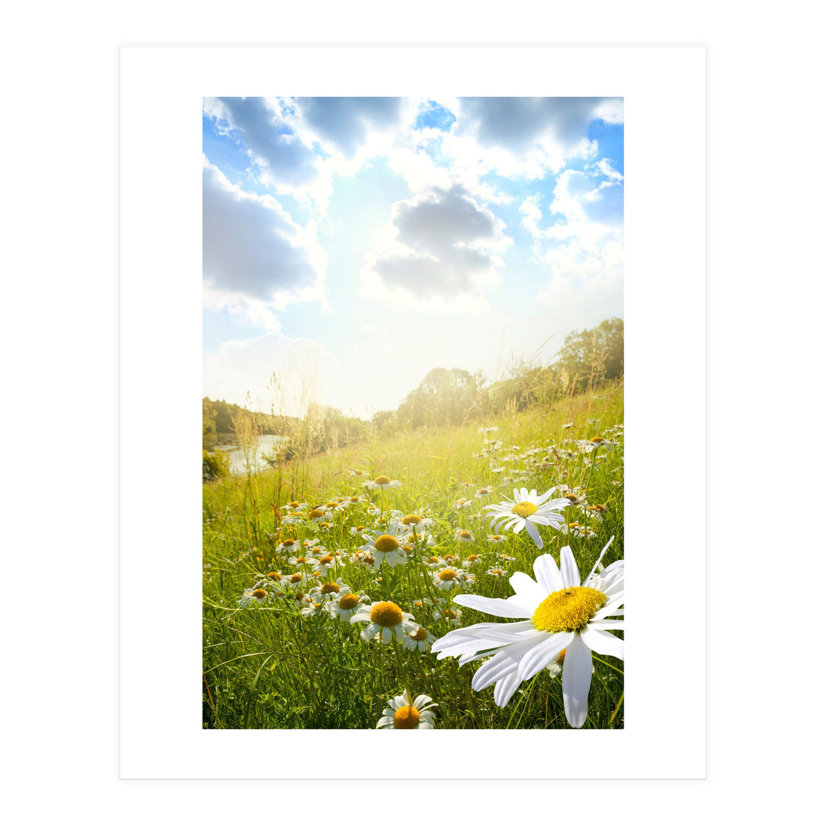 Nature (Print Only)