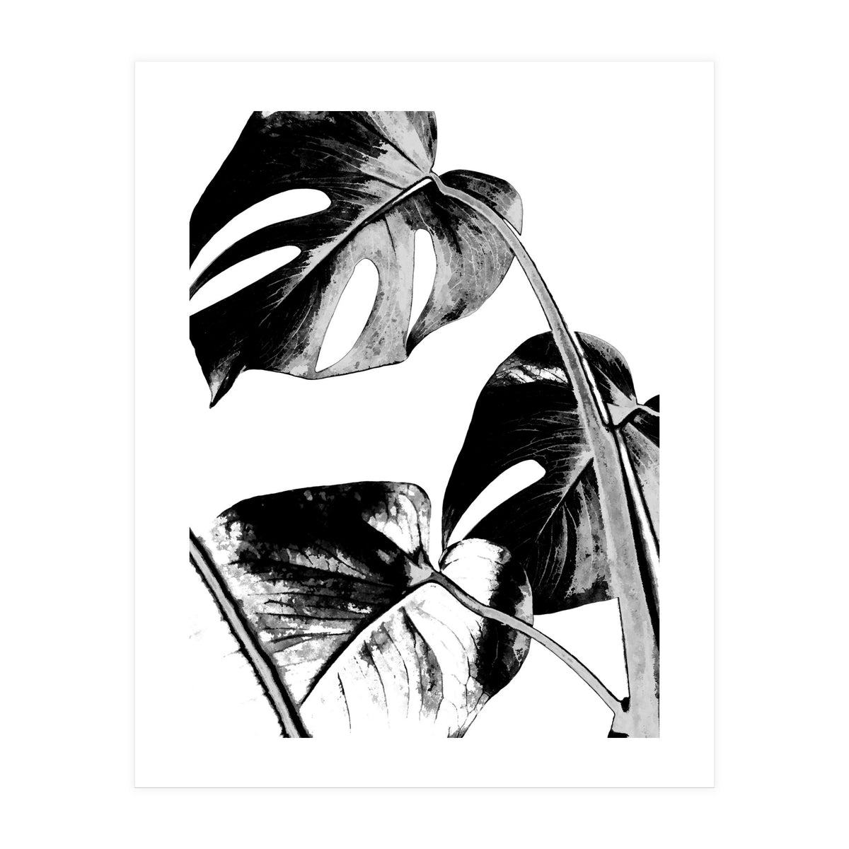 Black Tropical Leaves (Print Only)