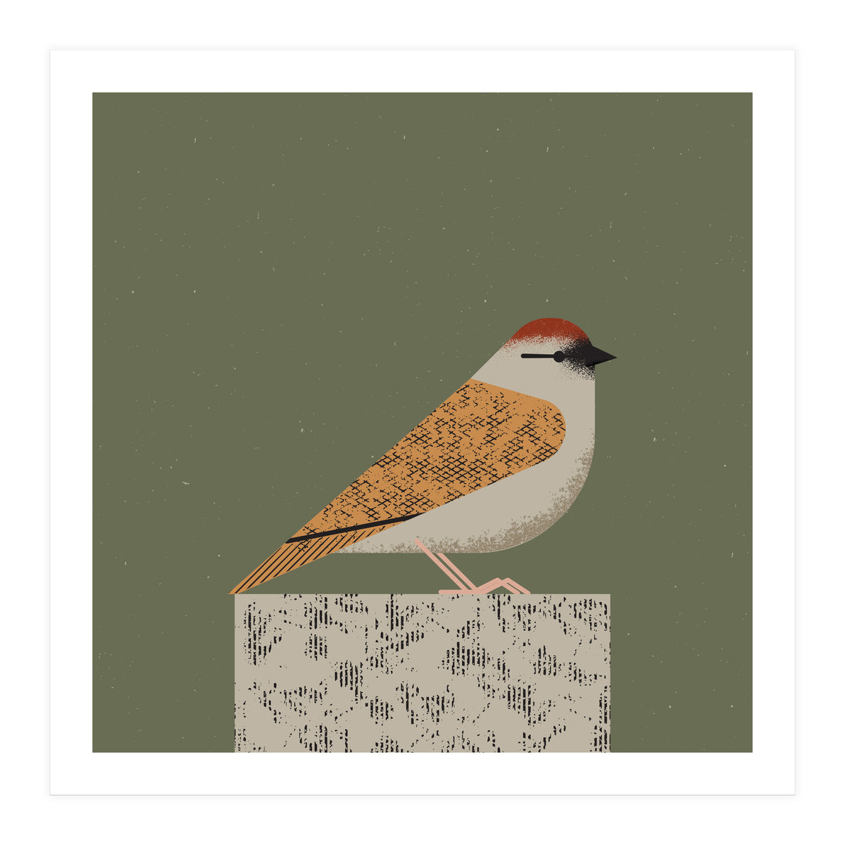 Sparrow (Print Only)
