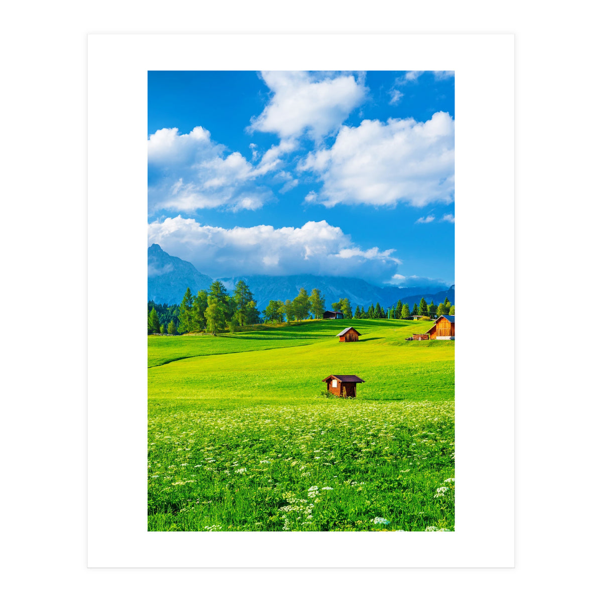 Nature (Print Only)