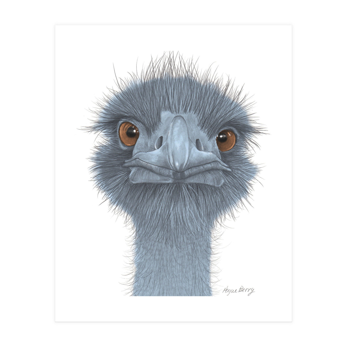 The Blue Emu (Print Only)