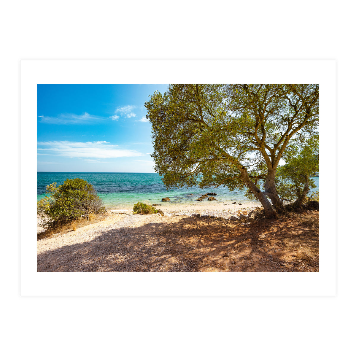 Siesta (Print Only)