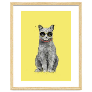 Summer Cat by Balazs Solti