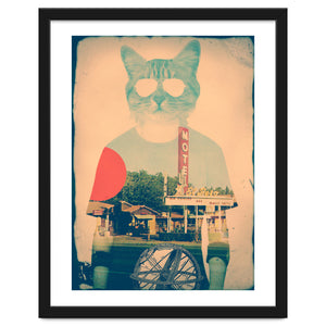 Cool Cat by Ali Gulec