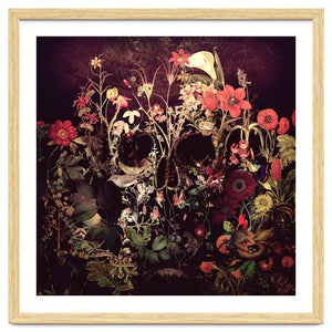 Bloom Skull by Ali Gulec