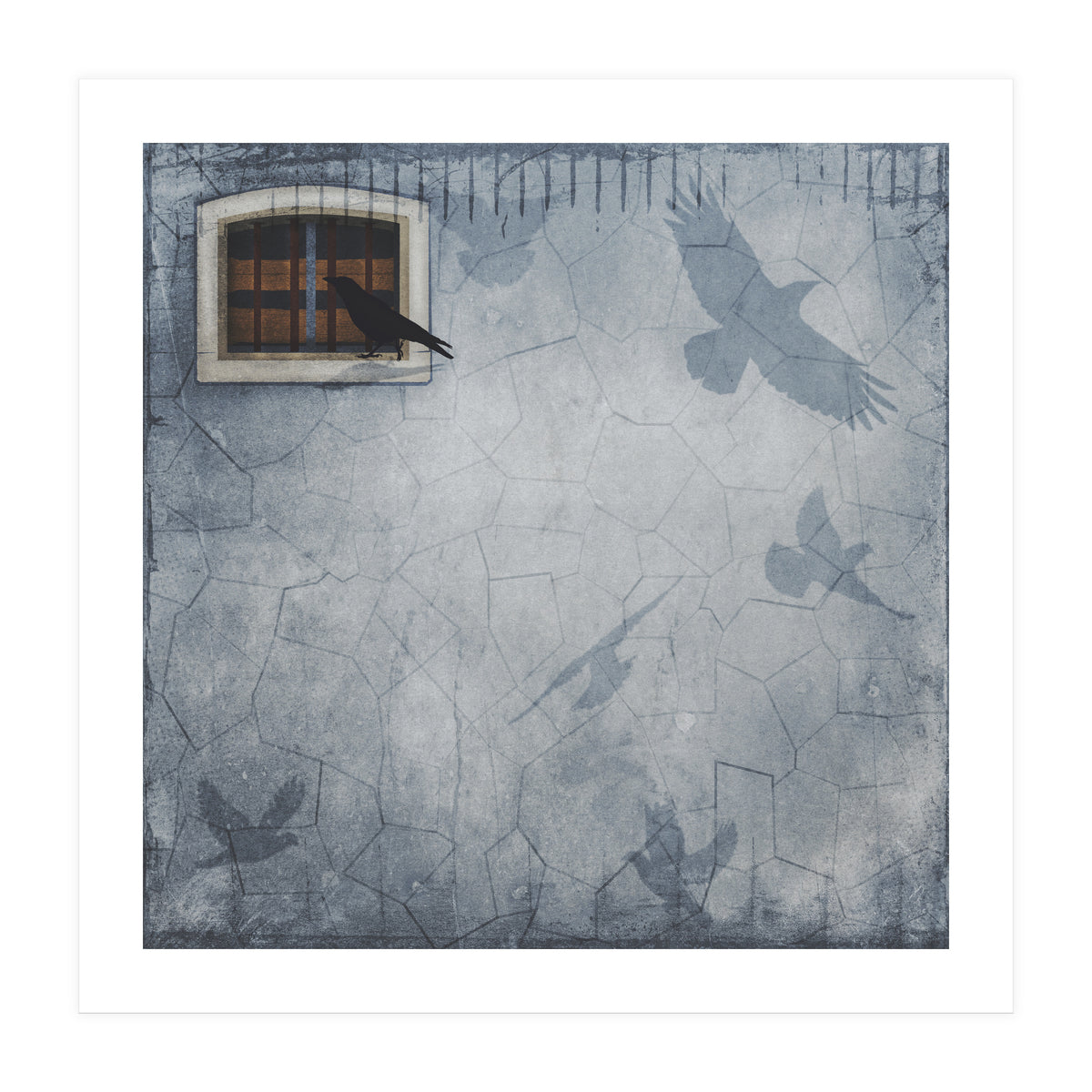 Birdy (Print Only)