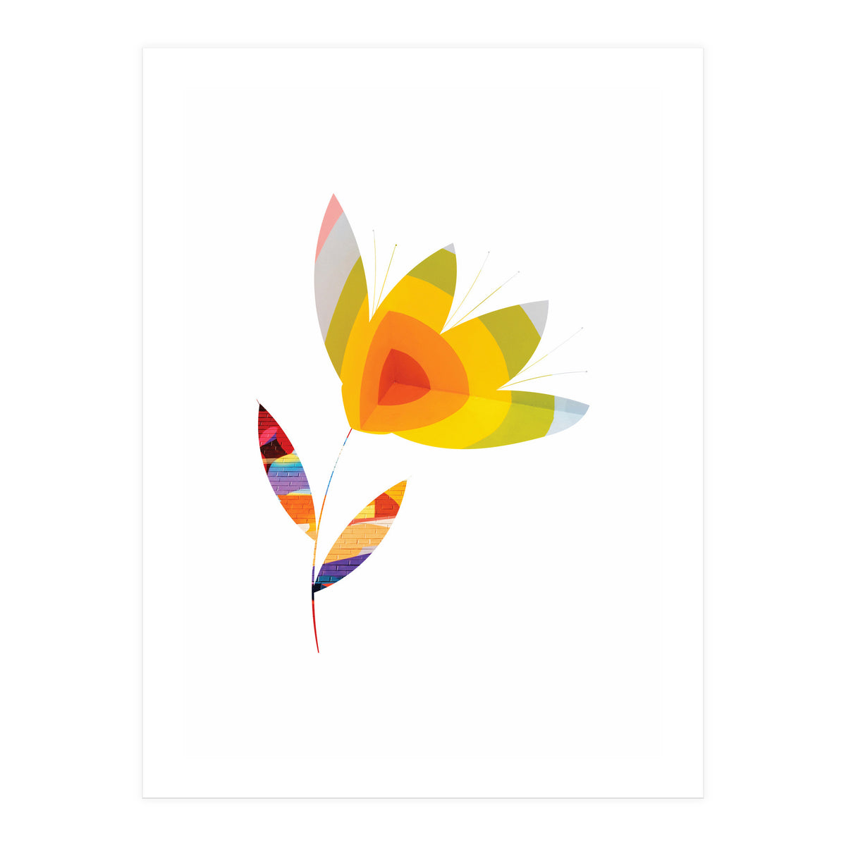 Graffiti Flower II (Print Only)