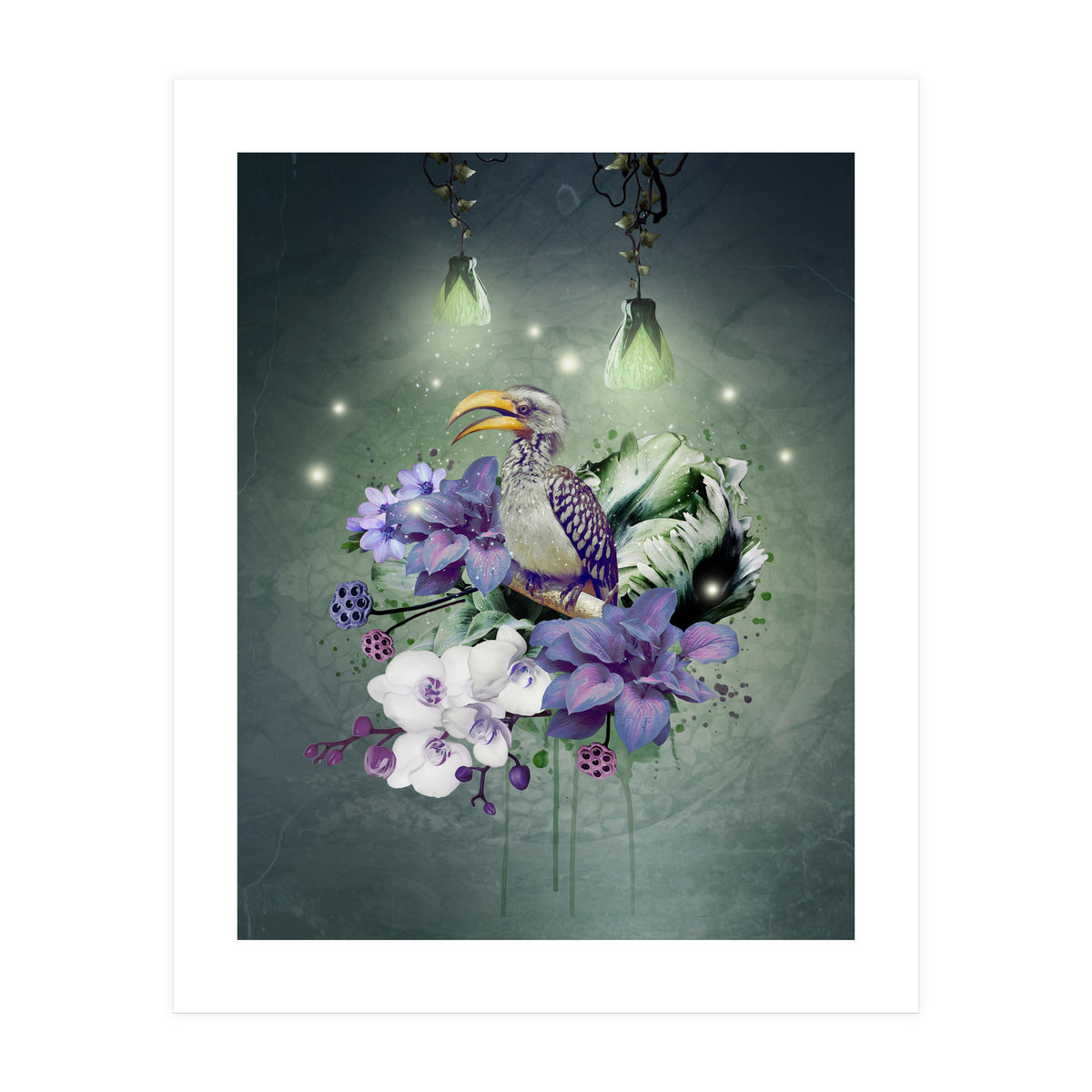 Floral Magic Hornbill (Print Only)