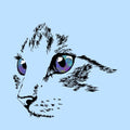 Castion portrait