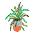 Fern Choonet illustration portrait