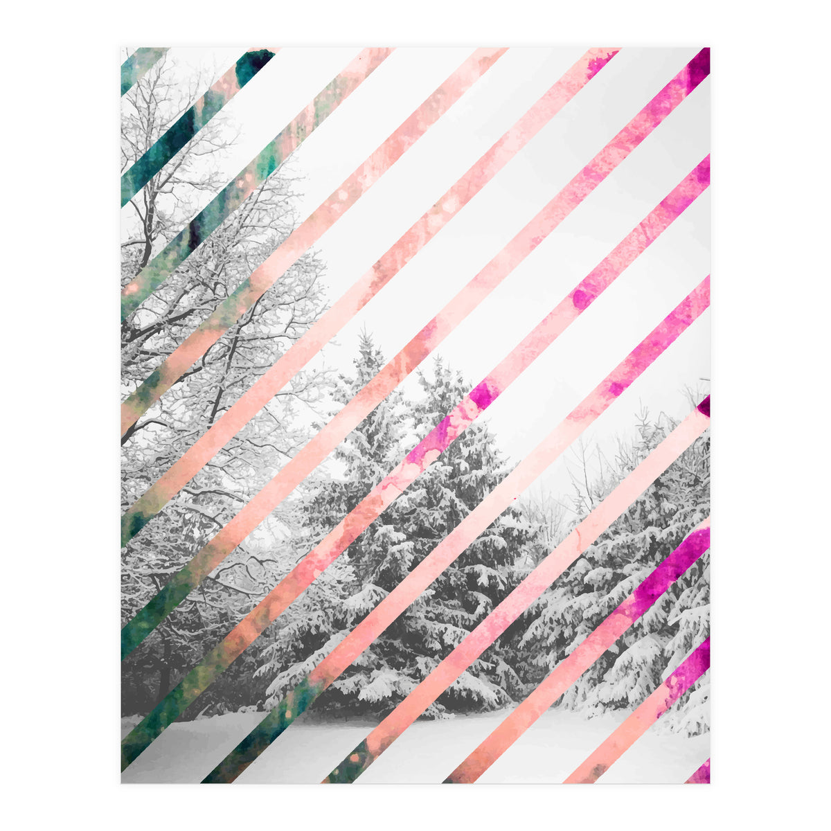 Snow Angel (Print Only)