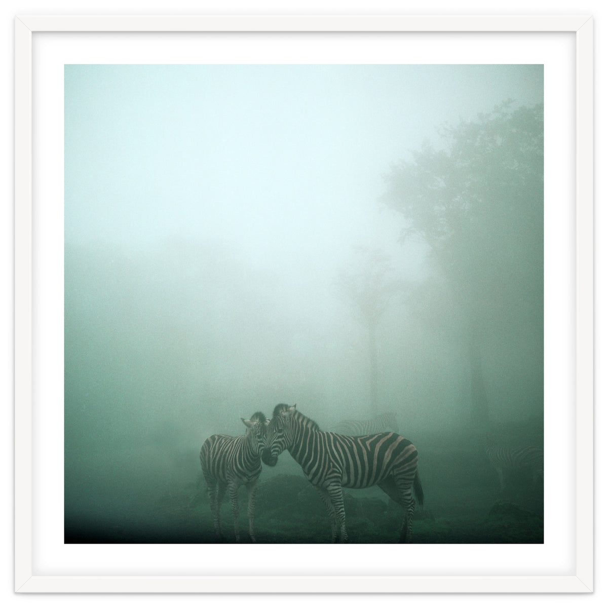 Silence of breath - 11