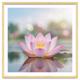 Ethereal Lotus Bloom: Serene Botanical Reflection thumbnail