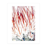 Delicate Florals (Print Only) thumbnail