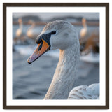 Majestic Swan Portrait In Snowy Waters thumbnail