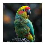 Vibrant Amazon Parrot Perched On A Branch (Print Only) thumbnail