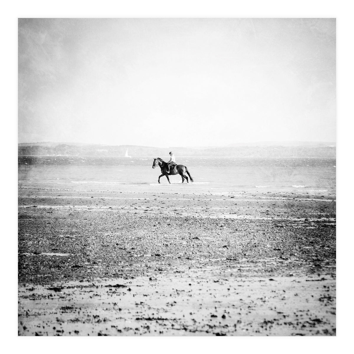 Sea Horse (Print Only)