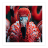 Close Up Flamingo Head With Bright Red Feathers (Print Only) thumbnail
