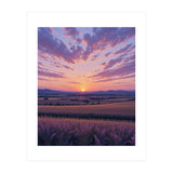 Serene Lavender Fields at Golden Hour Sunset (Print Only) thumbnail