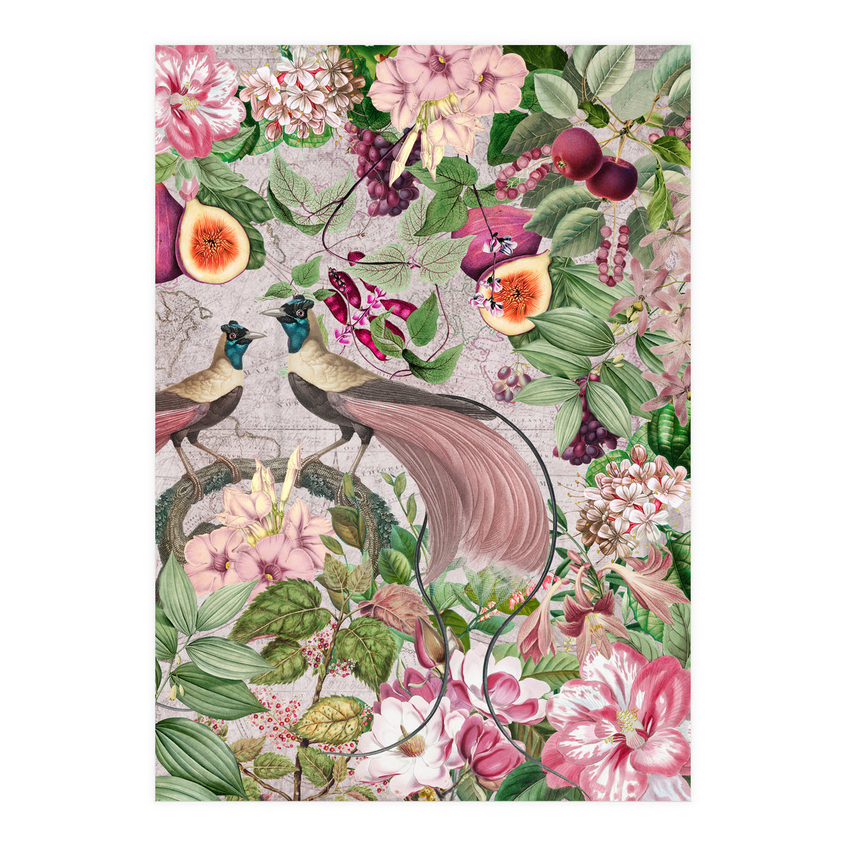 Vintage Birds Of Paradise Jungle  (Print Only)