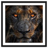 Majestic Lion Face Intense Orange Eyes Close Up thumbnail