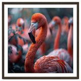 Beautiful Close Up Of A Pink Flamingo Bird thumbnail