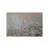 Lifted (Print Only) thumbnail