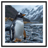 Gentoo Penguin Standing On A Rocky Shore thumbnail