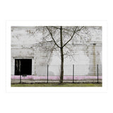 A tree in front of the wall (Print Only) thumbnail