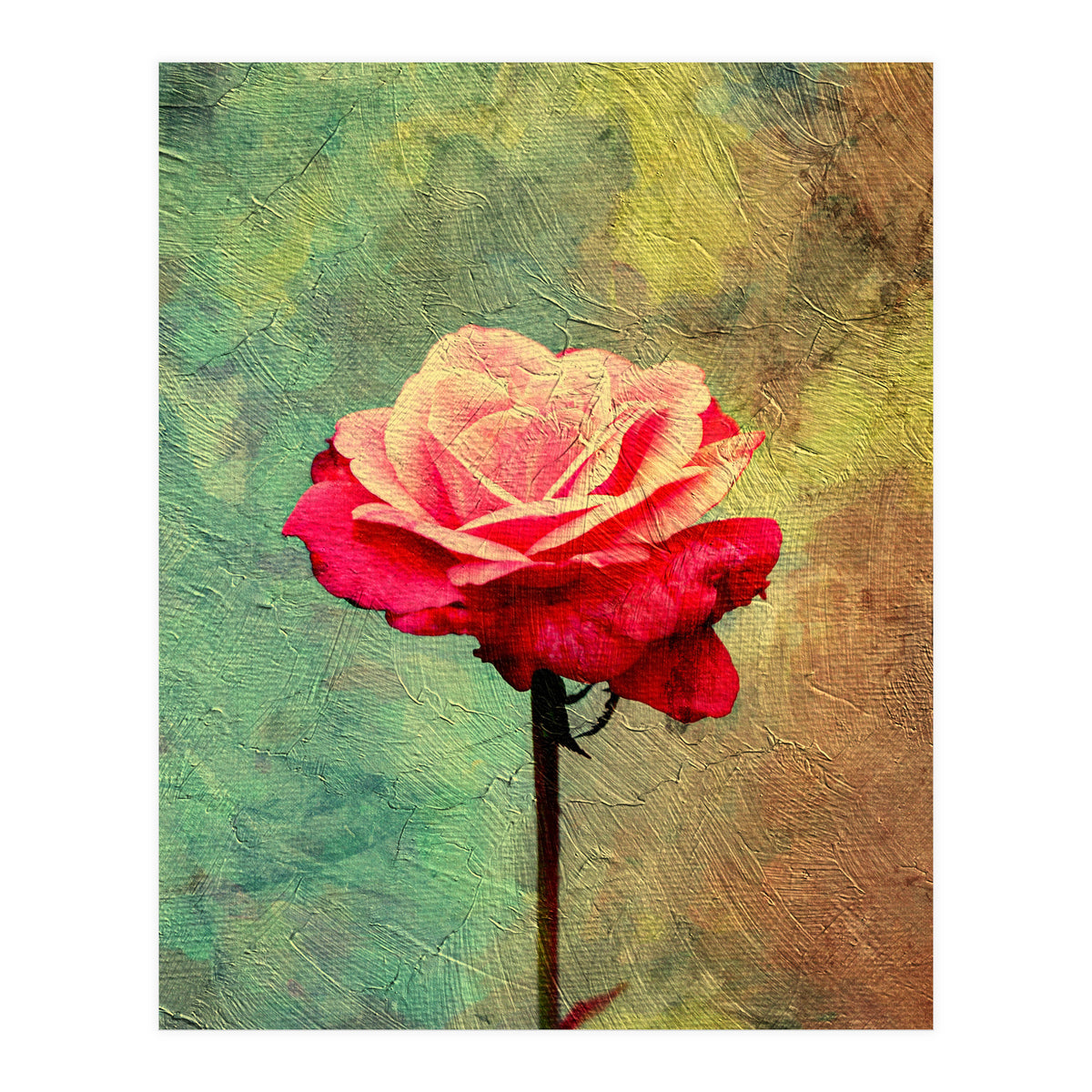 A Vibrant Red Rose  (Print Only)