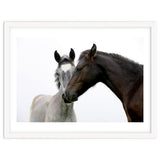 Two Horses thumbnail