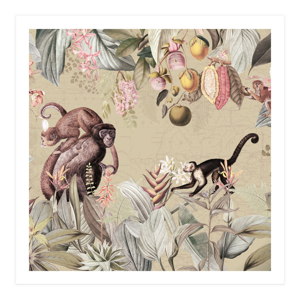 Vintage Exotic Monkeys In African Jungle Landscape (Print Only)