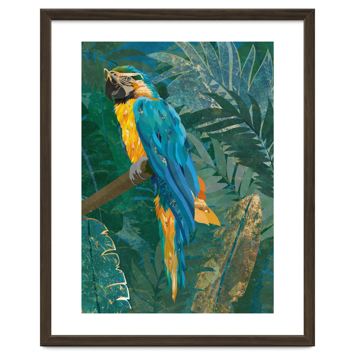 Macaw in the jungle