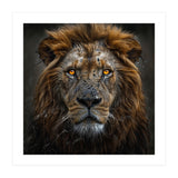Majestic Lion With Glowing Eyes Close Up Portrait (Print Only) thumbnail