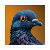 Close Up Of A Pigeon's Head And Neck (Print Only) thumbnail