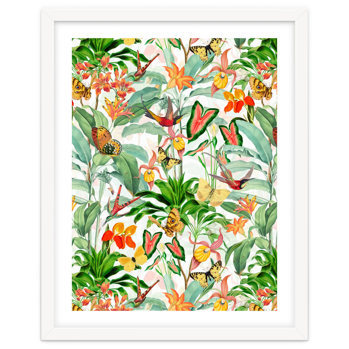 Birds And Butterflies In Tropical Jungle