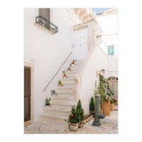 Stairs with cacti (Print Only)