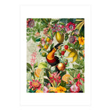 Toucan vintage jungle 1 (Print Only) thumbnail