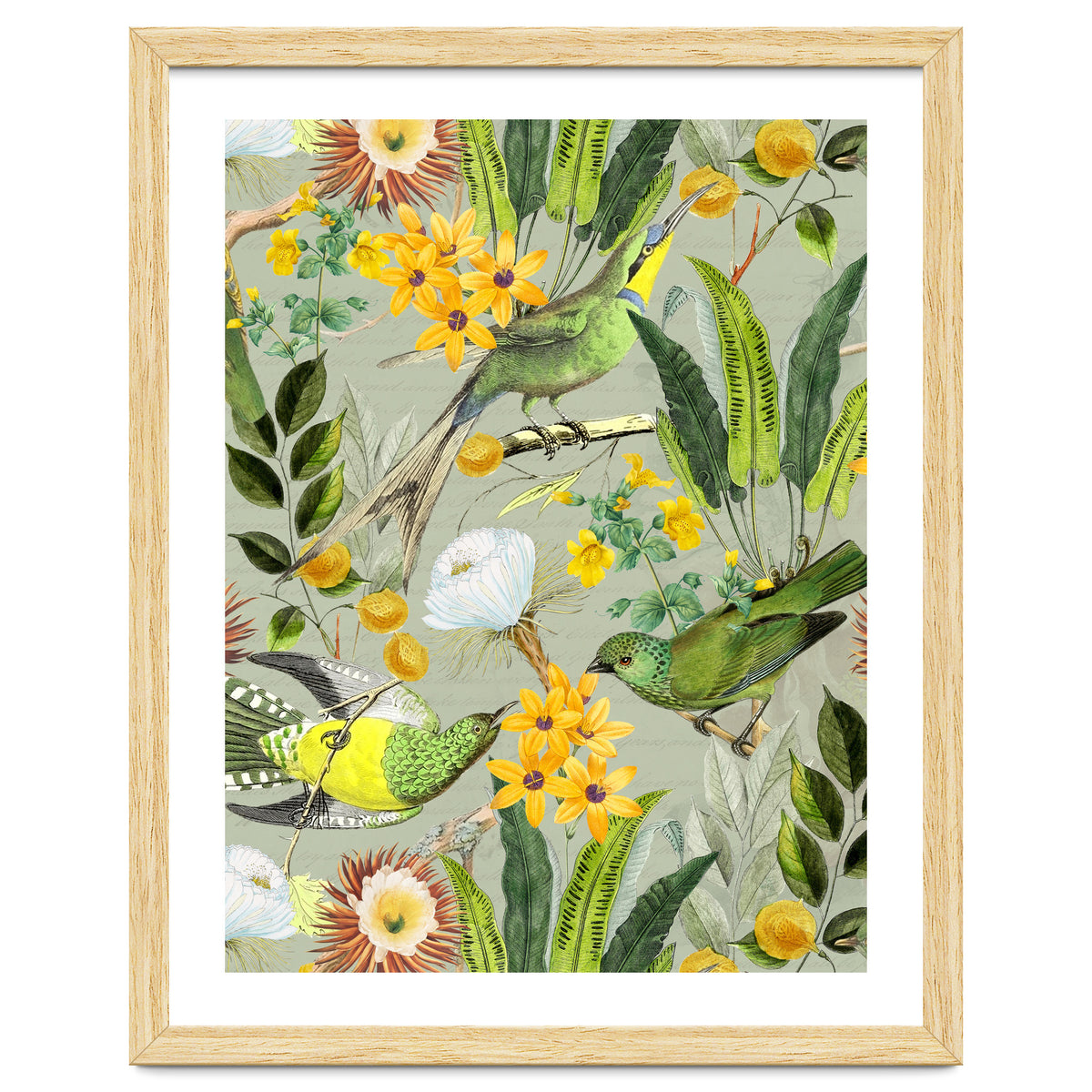 Tropical Birds in Exotic Jungle