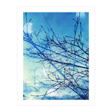 Winter (Print Only) thumbnail
