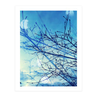 Winter (Print Only)
