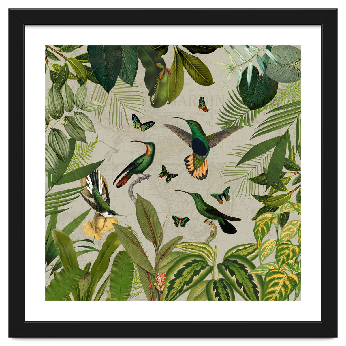 Vintage Exotic Hummingbirds Jungle