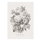 Currier & Ives – Rose of May (1870) (Print Only) thumbnail