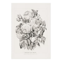 Currier & Ives – Rose of May (1870) (Print Only)