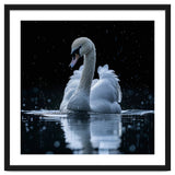 Majestic Swan Swimming In Dark Water thumbnail