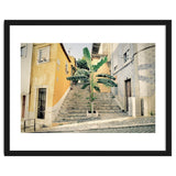Lisbon Palm Tree thumbnail