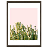 Cactus Blush #society6 #decor #buyart thumbnail