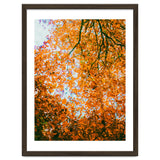 Autumn Leaves thumbnail