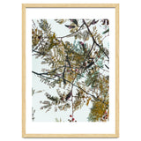 Patterns In Nature thumbnail